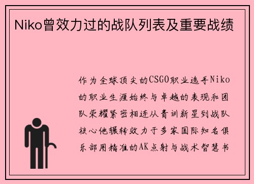 Niko曾效力过的战队列表及重要战绩