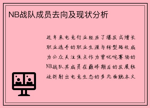 NB战队成员去向及现状分析